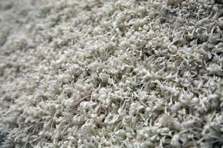 How to Re-fluff Matted Carpet (4 Steps) | eHow Clean Shag Rug, Small Throw Rugs, Carpet Diy, Clean Car Carpet, Carpet Cleaning Business, Deep Carpet Cleaning, Diy Carpet Cleaner, Carpet Cleaning Solution, Carpet Cleaning Machines