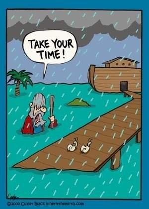 Christian Jokes Humor, Rain Humor, Meme Guy, Funny Christian Jokes, Ems Humor, Jw Humor, Christian Comics, Bible Humor, Jokes Humor