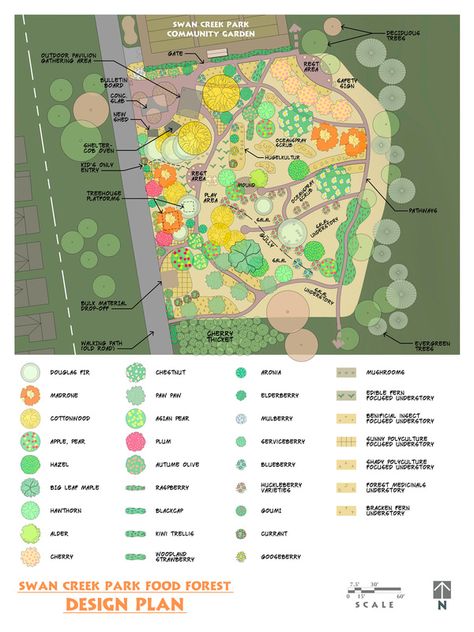 Food Forest Design - Swan Creek Park Food Forest Food Forest Design Backyards, Food Forest Garden Layout, Food Forest Layout Permaculture Design, Permaculture Food Forest Design, Urban Food Forest, Mandela Garden, Food Forest Layout, Forest Garden Design, Urban Forest Design