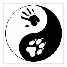 Yin Yang Art, Yin Yang Tattoos, Wolf Stuff, Clever Tattoos, Wolf Spirit Animal, Bear Tattoo, Bear Art, Ying Yang, Mystical Creatures