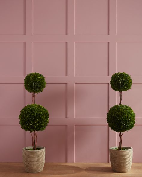 Benjamin Moore Pink, Blush Pink Paint, Paint Color Swatches, Pink Paint Colors, Benjamin Moore Colors, Benjamin Moore Paint, Pink Paint, Color Swatch, Red Paint