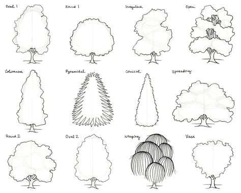 Nature, draw + outline TREES Copic Marker Set, Draw Outline, Tree Outline, Mouth Drawing, Tree Sketches, Landscape Sketch, Sketch Markers, Nature Drawing, Drawing Templates