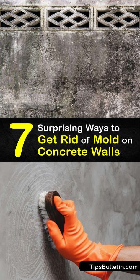 Cleaning Basement Walls, Basement Mold Removal, How To Get Rid Of Mold In Basement, Mold Remediation Diy, Cinder Block Basement, Remove Mold From Walls, Mold In Basement, Remove Mold Stains, Mold Cleaner