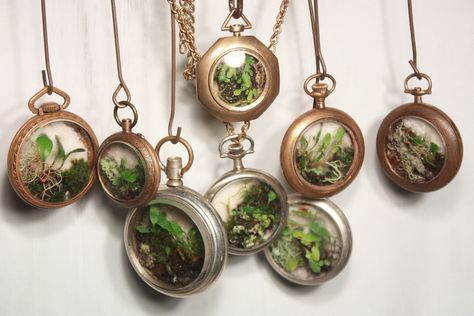 Art Floral Japonais, Terrariums Diy, Old Pocket Watches, Terrarium Necklace, Terrarium Diy, Garden Terrarium, Terraria, Gorgeous Gardens, Pocket Watches