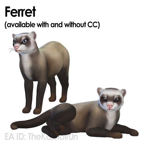 TheKalino on Instagram: “New Animals! 🐾 Ferret (cc): simfileshare.net/download/48674… Ferret (without cc): simfileshare.net/download/48673… Aardwolf:…” Sims 4 Pets Mod, Sims Collection, The Sims 3 Pets, Sims Pets, Sims 4 Challenges, The Sims 4 Skin, Sims Packs, The Sims 4 Packs, Tumblr Sims 4