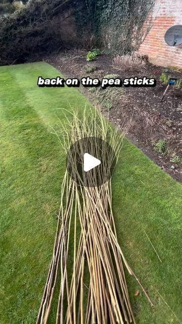 Sweet Pea Wigwam, Peony Support Ideas Diy, Pea Support Ideas, Plant Supports Ideas, Pea Garden, Garden Border Ideas, Garden Ideas Diy Cheap, Peony Support, Cottage Garden Borders