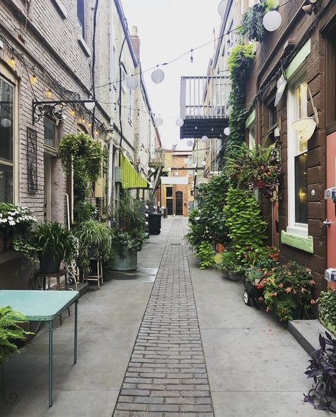 Alley✨ Narrow Street Design, Alleyway Design, Garden Alley, Alley Garden, Alley Design, Alley Ideas, Urban Design Architecture, Master Thesis, Building Entrance