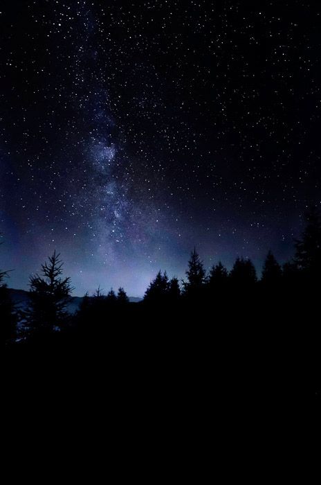 Atmospheric shot of a star filled sky over a forest at night Aesthetic Dark, The Night Sky, Night Sky, Starry Night, Ipad, Trees, Stars