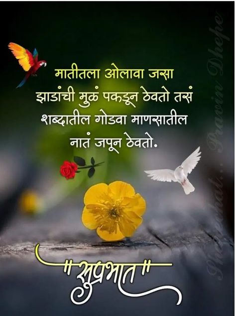 Good Morning Marathi Suvichar, Good Morning Images Marathi, Good Morning In Marathi, Marathi Good Morning Quotes, Good Morning Quotes In Marathi, Rama Lord, शुभ सकाळ, Flag Images, Marathi Love Quotes