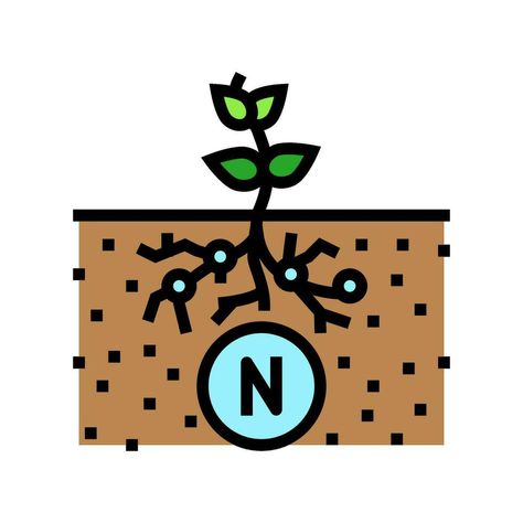 Nitrogen Fixation, Vector Free, Vector Illustration, Clip Art, Quick Saves, Color