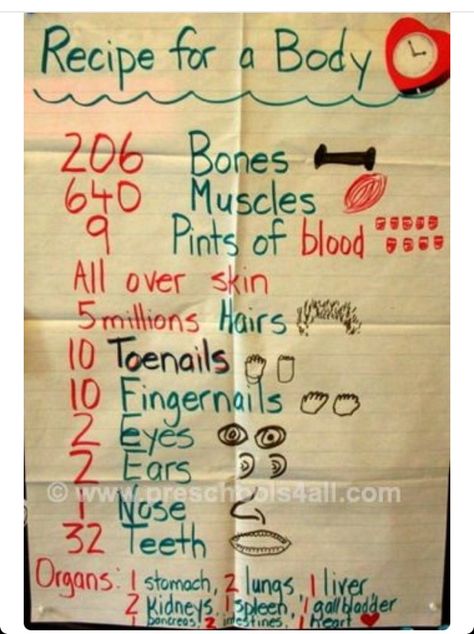 Recipe for a body November Bulletin Boards, Studie Hacks, Human Body Activities, Human Body Unit, Medical School Studying, Human Body Systems, Budget Planer, Preschool Science, E Mc2