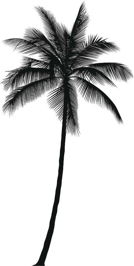 Cartoon Palm Tree, Palm Tree Drawing, Tattoo Tree, Palm Tattoos, Palm Tree Silhouette, Tree Tattoo Designs, Palm Tree Tattoo, Beach Tattoo, Cartoon Tattoos