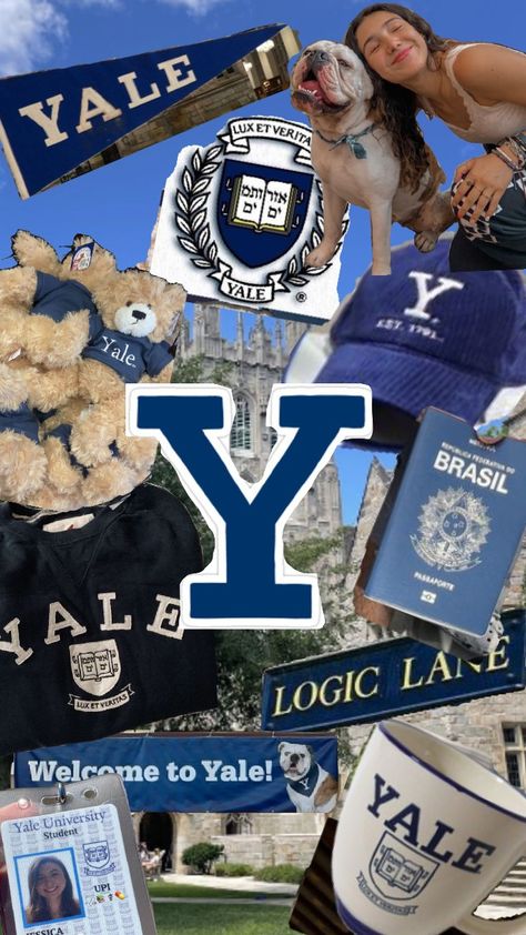 #yale #college #study Yale College Aesthetic, A* A Level Results, Yale Volleyball, Yale University Aesthetic, Yale University Campus, Yale Aesthetic, Yale Football, Yale College, Yale Law