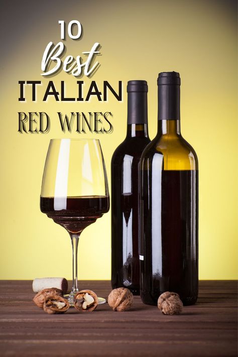 Which are the best wine types? All wine stuff. Ideas for wine and dinner. Italian wine idea. Italian wine love. Some good wine from Italy. The best sweet wine in italy. i love wine! Best Italian red wines, Red Wine Types, Red Wines Guide, Italian Red Wine, Wine Types, Best Italian Wines, Types Of Red Wine, Wine Chart, Wine Facts, Sweet Red Wines