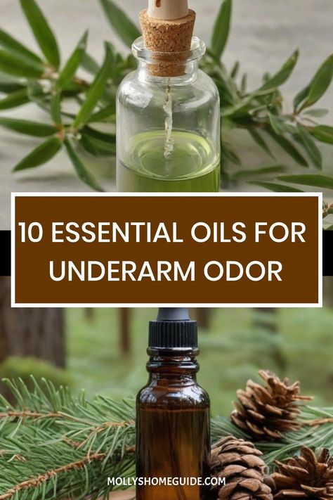 Discover effective natural solutions for underarm odor with essential oils. Try making your own DIY odor removing underarm scrub or homemade deodorant spray using the best essential oil blends. Say goodbye to body odor and give your armpits a gentle detox with these herbal remedies and odor-blockers. Take control of your personal care routine with these simple yet powerful armpit odor solutions. Underarm Scrub, Best Essential Oil Blends, Herbal Wellness, Armpit Odor, Underarm Deodorant, Personal Care Routine, Thyme Essential Oil, Underarm Odor, Oils For Health