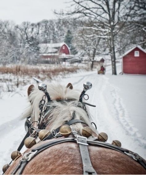 Salem Cross Inn, Horse Sleigh, Gift Ideas For Your Girlfriend, Ideas For Your Girlfriend, Candy Sleigh, One Horse Open Sleigh, Gifts For Boyfriend Parents, Christmas Gifts For Parents, Sleigh Bells