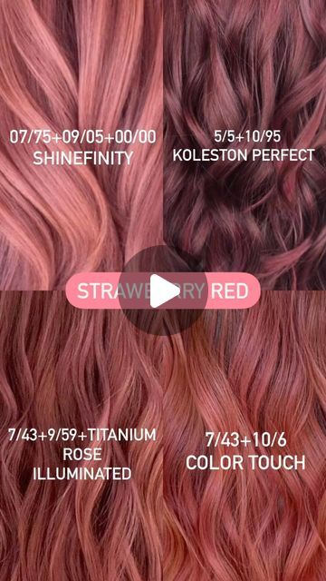 AntoniosZachos_wella🧿 on Instagram: "Happy Wellatine Red Formula’s ♥️🌹🎈🌷🩸 #wella_education" Strawberry Wine Hair, Matrix Rose Gold Formula, Wella Hair Formulas, Wella Color Touch Formulas, Wella Education, Wella Formulas, Highlights Tutorial, Strawberry Red Hair, Redken Formulas