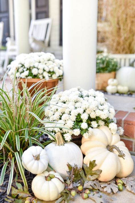 white pumpkins white mums fall porch decorations White Fall Decor Ideas, Halloween Chic, Outside Fall Decor, White Mums, Fall Front Porch Decor, Cozy Outdoor, Fall Front Porch, Fall Outdoor Decor, Fall Decorations Porch