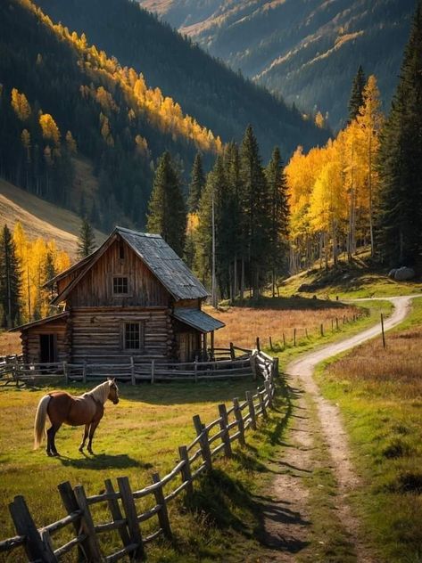 Autumn Challenge, Glowworm Caves, Fall Cabin, Spirit And Rain, Cabin Vibes, Cute Cabins, Cabin Aesthetic, Cabin In The Mountains, Fall Activity