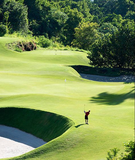 Golf Course Landscape, Golfing Aesthetic, Golf Aesthetic, Golf Trophy, Golf Trophies, Sports Motivation, Ad Ideas, Golf Photography, Golf Poster