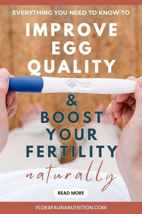 woman who is trying to conceive with a positive pregnancy test and text that reads "everything you need to know to improve egg quality and boost your fertility naturally" Egg Quality Supplements, Fertility Supplements Trying To Conceive, Egg Quality Fertility Improve, Improve Egg Quality, Fertility Supplements, Egg Quality, Fertility Diet, Egg Production, Best Diet