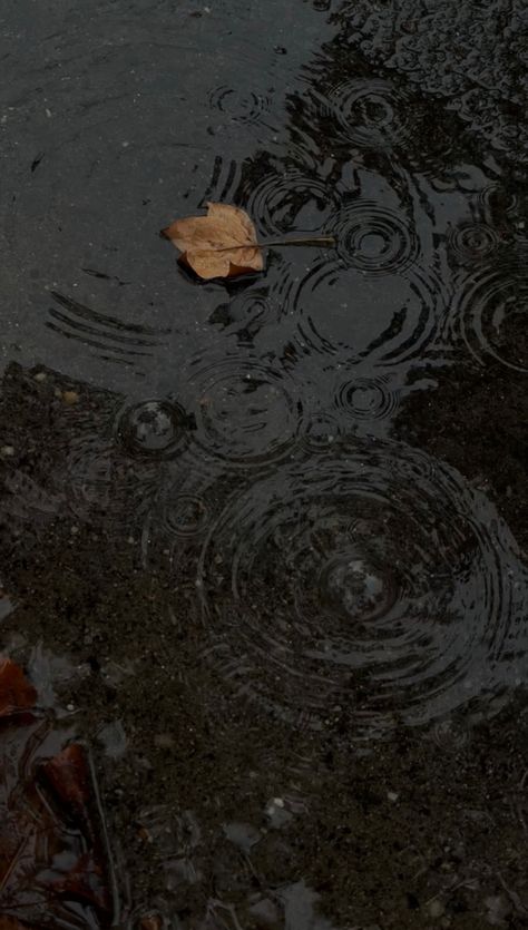 Tanishka Core, Rainy Music, Rainy Days Wallpaper, Dark Rain Aesthetic, Rainy November, Rainy Day Images, Rain Walk, Rainy Day Wallpaper, November Vibes