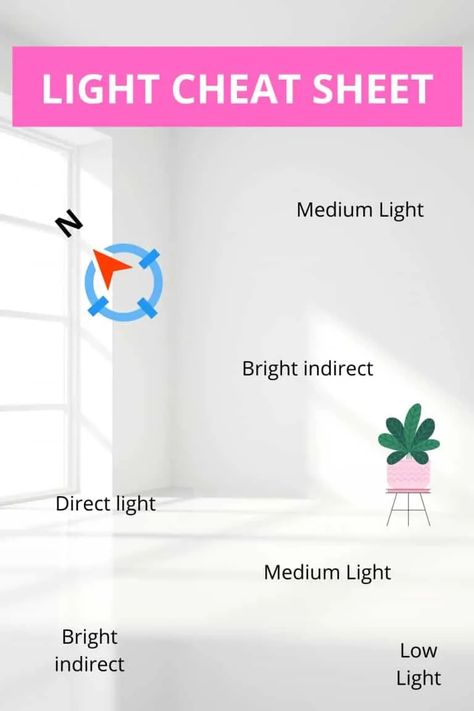 Indoor Plant Lights, Plants Care, Plant Window, Light Guide, Plant Light, Plant Hacks, Inside Plants, Indoor Plant Care, Houseplants Indoor