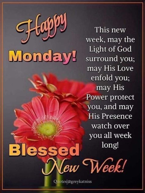 Happy Blessed Monday, Morning Quotes Monday, Happy Monday Pictures, Monday Morning Wishes, Blessed Monday, Monday Morning Blessing, Good Morning Prayer Quotes, Monday Wishes, Monday Pictures