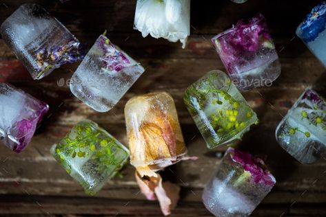 Frozen Flowers in Ice Cubes on Rustic Wooden Background by Manuta. Frozen Flowers in Ice Cubes on Rustic Wooden Background, space for text #AD #Cubes, #Rustic, #Ice, #Frozen Plant Wedding Shower Theme, Indoor Garden Bridal Shower Ideas, Bridal Shower Themes Garden Party, Fairy Bridal Shower Theme, Bridal Shower Nature Theme, Trending Bridal Shower Themes, Bridal Shower Plant Theme, Garden Wedding Shower Ideas, Wild Flower Themed Bridal Shower Ideas