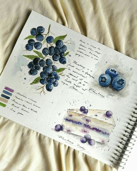 Blueberry Drawing, Recipe Book Design, Watercolor Sketching, Gcse Art Sketchbook, Buch Design, Watercolor Food, Watercolor Fruit, Watercolor Journal, Illustration Ideas