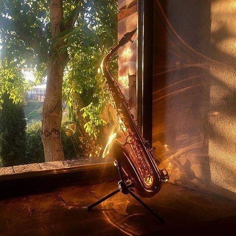 Yanagisawa Sax UK and Ireland on Instagram: “Yes! Beautiful shot of an A991 Alto!  #picoftheday #photooftheday #yanagisawa #yanagisawasax #altosax . . #Repost @theojobstsaxophone” Alto Saxophone Aesthetic, Sax Aesthetic, Genasi Dnd, Saxophone Aesthetic, Pretty Instruments, Blasting Music, Band Aesthetic, Saxophones, Jazz Bar