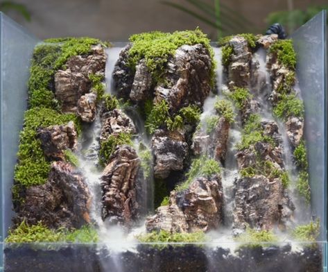 Vivarium Waterfall, Waterfall Paludarium, Vertical Paludarium, 10 Gallon Paludarium, Exo Terra Paludarium, Water Wall Fountain, Vivarium, Wall Fountain, Water Walls