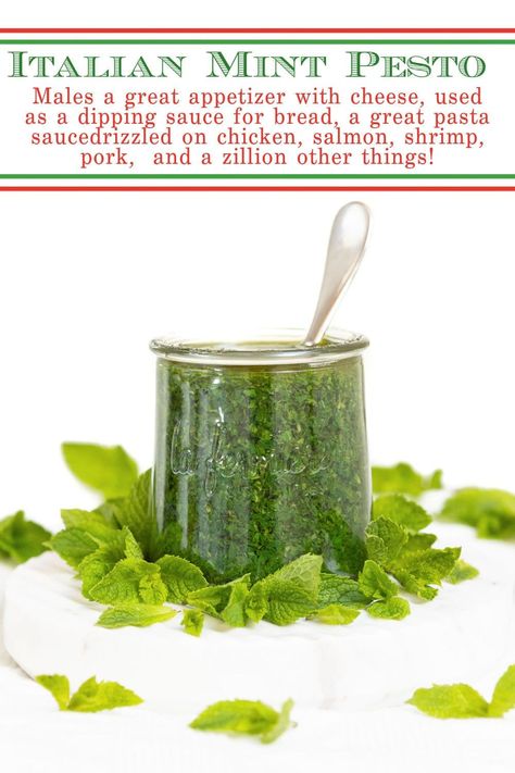 Dipping Sauce For Bread, Mint Pesto Recipe, Mint Pesto, Delicious Salad Dressings, Mint Sauce, Pesto Recipe, Garden Recipes, Great Appetizers, Pesto Sauce