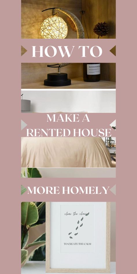 Top 5 Tips for Making a Rented House More Homely without breaching your tenancy agreement 🥰 Ideal tips for first time renters and student renting! #renting #renterhacks #studenthouse Renting A House First Time, Bambu House, Renter Hacks, Shared House, Tenancy Agreement, Student House, Student Accommodation, Nails And Screws, Buy Plants