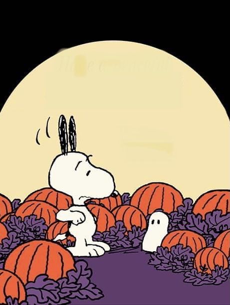 Snoopy Halloween Wallpaper, Peanuts Aesthetic, Charlie Brown Movie, Halloween Snoopy, Peanuts Wallpaper, Pumpkin Wallpaper, Charlie Brown Halloween, Peanuts Movie, Peanuts Halloween