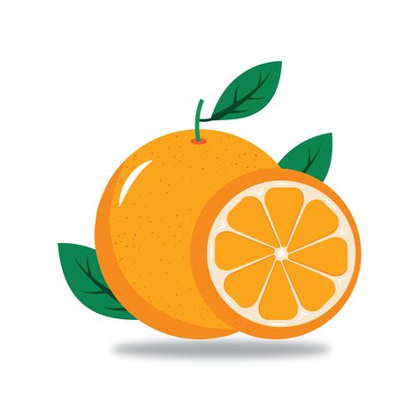 Illustration Fruit, Orange Illustration, Fruits Drawing, Mango Fruit, Work Opportunities, Make Your Logo, That's Me, Fruit Illustration, Orange Fruit