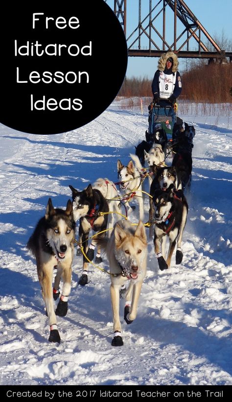 Sled Dog Craft, Iditarod Activities For Kids, Iditarod Crafts, Iditarod Lessons, Iditarod Activities, Arctic Vbs, Travel Classroom, Homeschool Literature, Book Club Suggestions