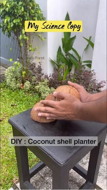 How to Make a Homemade Garden🥶 😱 😨 😰 😥 😛 😝 😜 🤪 Coconut Shell Planter, Creative Garden Ideas, Personality Art, Homemade Garden, Hanging Plants Diy, Coconut Shell Crafts, Planter Diy, Shell Planter, Homemade Home Decor