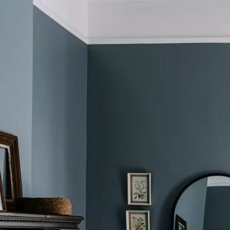 Porter's Paints on Instagram: "'Dark Newport Blue' A chic mid tone cool blue grey. This colour features in our Capsule Collection, available through selected Bunnings and Inspirations stores as well as Porter's Paints showrooms and local stockists. See our website for details; porterspaints.com/find-a-store Image: @seaview_in_the_glebe Photo: @marniehawson Stylist: @bellebrightproject" Porter Paint, Newport Blue, Modern Luxe, Luxe Design, Store Image, Colour Pop, Colour Inspiration, Interior Designing, Capsule Collection