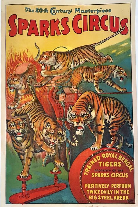 Old Circus, Vintage Circus Posters, Greatest Show On Earth, Circus Aesthetic, Creepy Carnival, Circus Train, Traditional Tattoo Sleeve, Circus Poster, Circus Animals