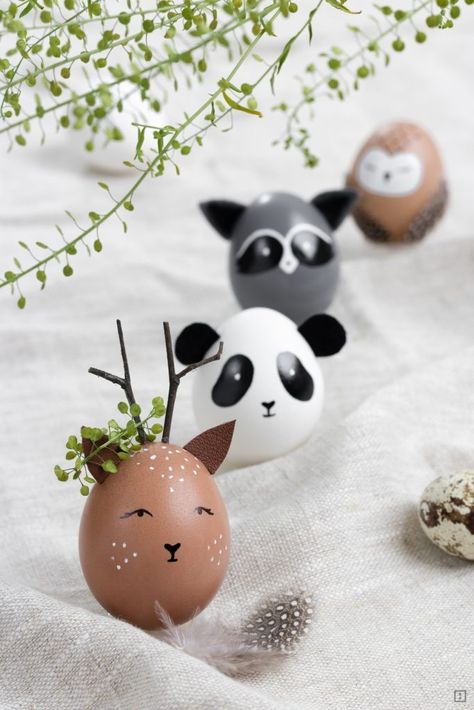 Cool Easter Eggs, Animal Easter Eggs, Diy Easter Eggs, Creative Easter Eggs, Fun Easter Crafts, Painted Eggs, Easter Egg Designs, Easter Egg Crafts, Easter Egg Painting