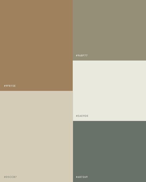 Aesop Color Palette, Khaki Color Palette, Flip Ideas, Concert Poster Design, Pantone Palette, Hex Color Palette, Color Board, Green Palette, Colors Palette