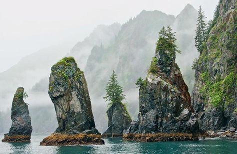 Alaska National Parks, Alaska Glaciers, Kenai Fjords National Park, Alaskan Salmon, Kenai Fjords, Bay Photo, Breathtaking Places, Remote Island, Alaska Travel