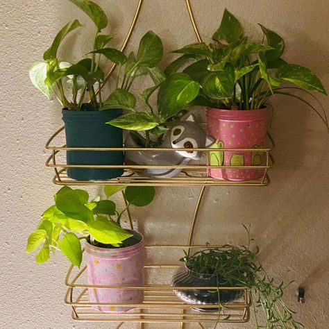 Shelving For Plants, House Plant Display, Bathroom Caddy, Metallic Spray Paint, Out Of Space, Plant Display, Diy Plant Hanger, Pothos Plant, Shower Caddy