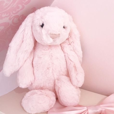 The sweetest little jellycat bunny 🐰 Bunny Plush Aesthetic, Plush Aesthetic, Pastel Core, Jellycat Bunny, Soft Things, Baby Pink Aesthetic, Soft Aesthetic, Pull Toy, Cute Stuffed Animals