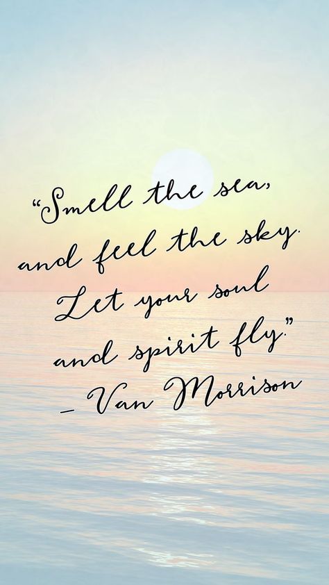 “Smell the sea, and feel the sky. Let your soul and spirit fly.” — Van Morrison Font Used: Mermaid Confetti Mar Aesthetic, Soul And Spirit, Van Morrison, Aesthetic Fonts, Cursive Fonts, Your Soul, Proverbs, Mood Boards, The Sky