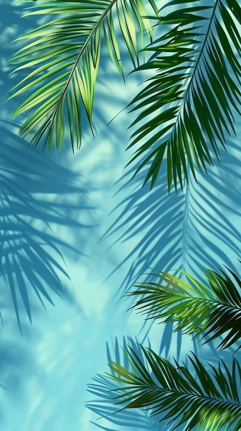 Palm tree leaf backgrounds outdoors. | premium image by rawpixel.com Phone Wallpaper Tropical, Bright Tropical Aesthetic, Premium Background Design, Iphone Wallpaper Palm Trees, Tropical Art Wallpaper, Tropical Iphone Wallpaper, Ocean Iphone Wallpaper, Tropical Beach Aesthetic, Tropical Leaf Background