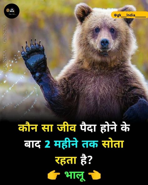 Today New Fact In Hindi, Facts In Hindi New Today, Top 3 Facts In Hindi, Mind Power Quotes, Fact In Hindi, Science Facts Mind Blown, Gk Facts, Youtube Facts, Facts About Animals