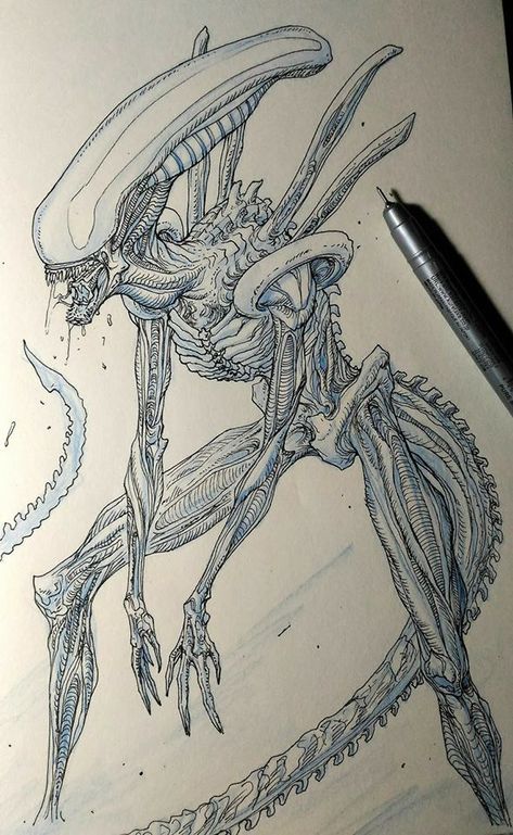 Alien Xenomorph Drawing, Xenomorph Art Drawing, Xenomorph Sketch, Alien Art Drawing, Xenomorph Drawing, Alien Tattoo Xenomorph, Xenomorph Art, Alien Drawing, Giger Alien