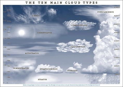 10 Types of Clouds | great reference for the 10 main types of clouds Cloud Types, Types Of Clouds, Cloud Type, Clouds In The Sky, Cloud Photos, Survival Life, Emergency Prepping, Meteorology, Type Posters